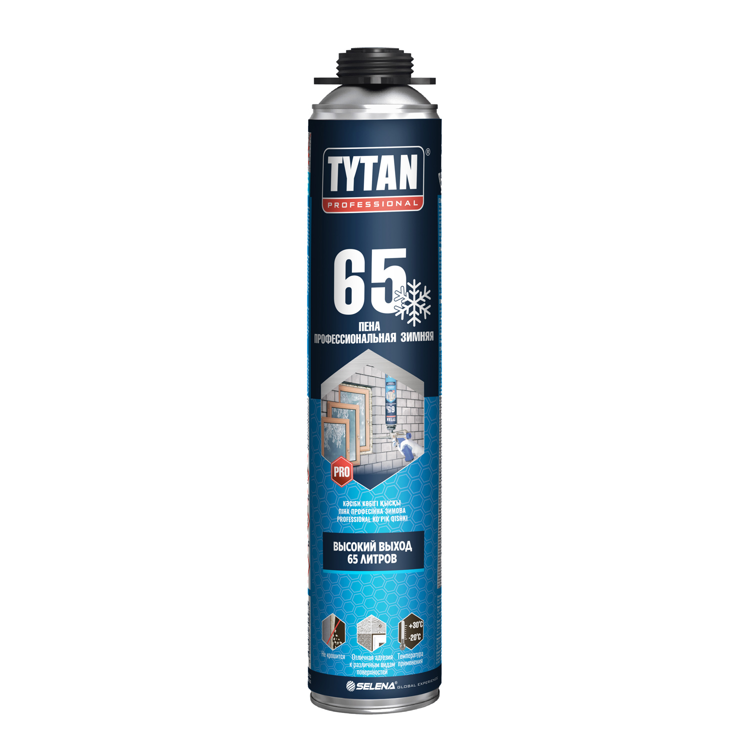 Пена профессиональная Tytan Professional 65 зимняя 750 мл