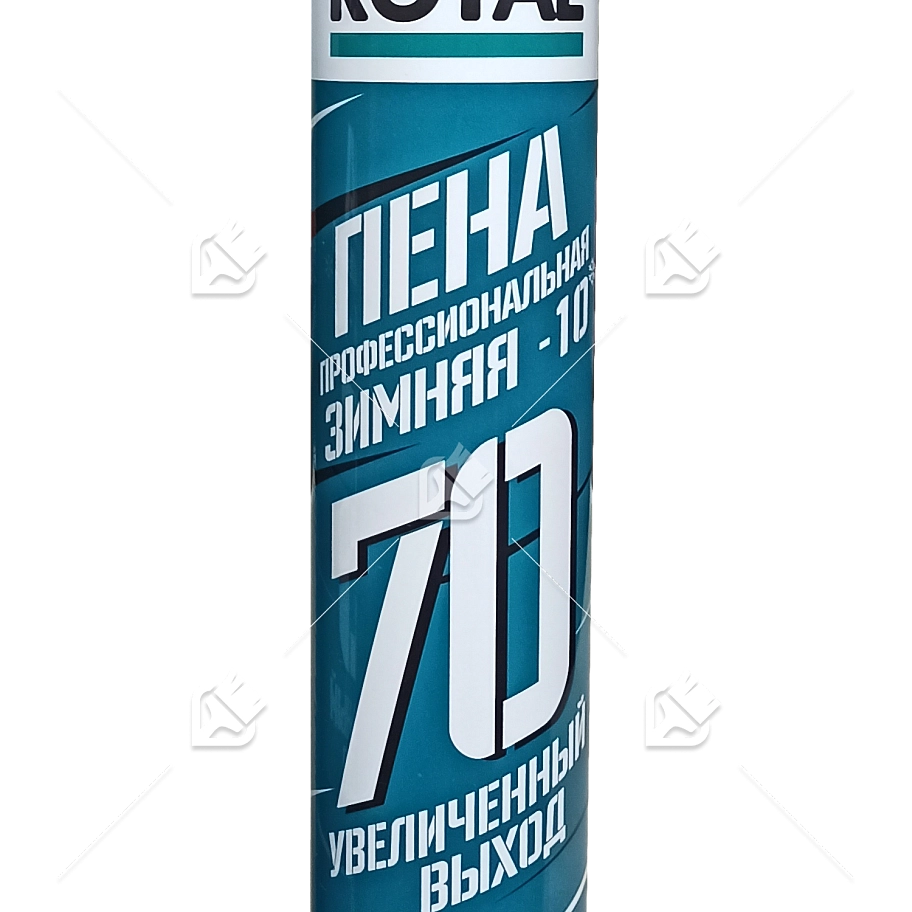 Пена профессиональная ROYAL 70 зимняя -10°С 870 мл